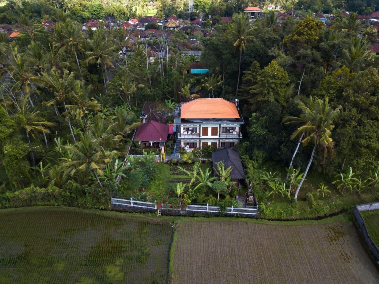 Demank Hidden Guesthouse Ubud  Ngoại thất bức ảnh