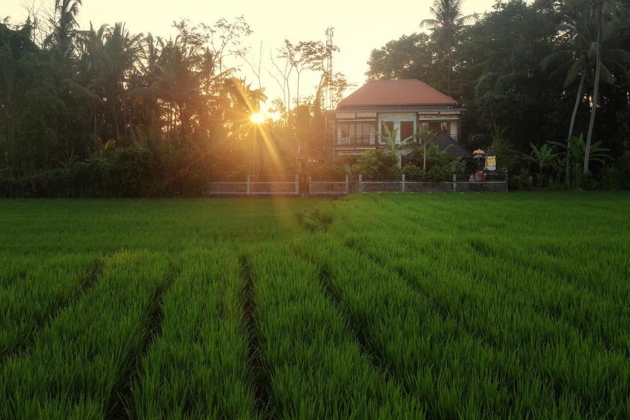 Demank Hidden Guesthouse Ubud  Ngoại thất bức ảnh